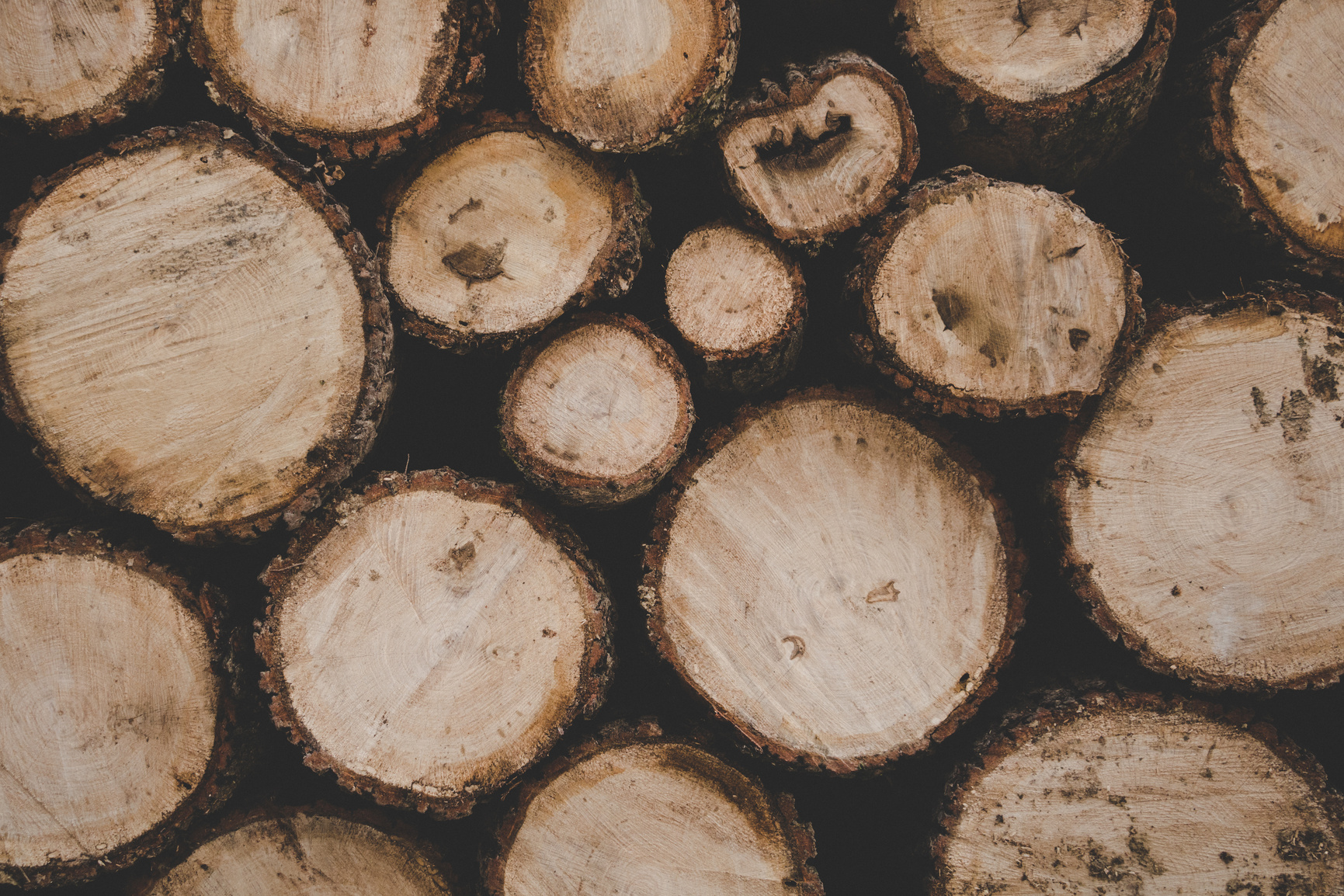 Brown Logs